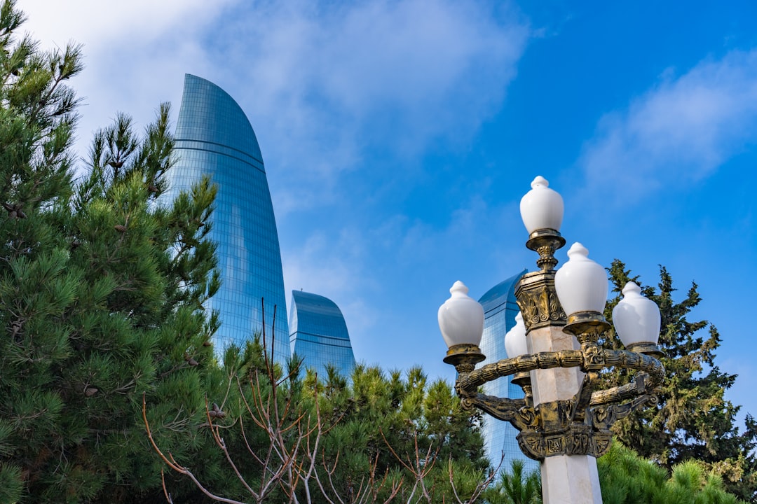 The flame towers rise above the trees.