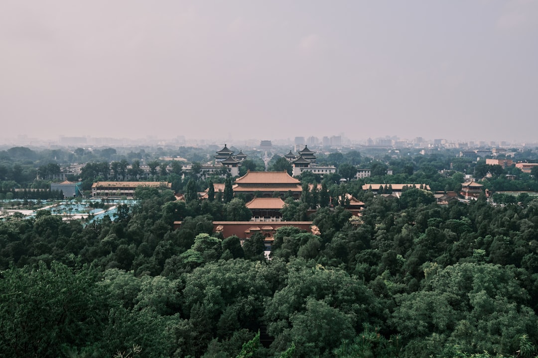 aerial view of city during daytime