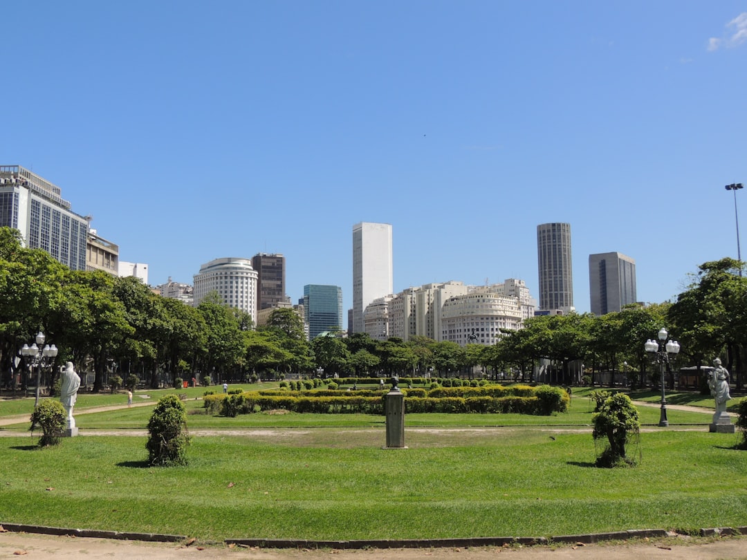 a park with a lot of green grass and trees