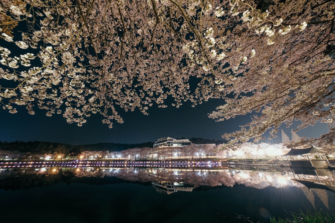 a large body of water surrounded by trees