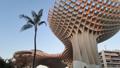 a tall building with a palm tree in front of it