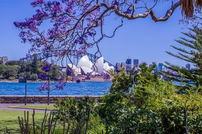 a view of the sydney opera house from across the water