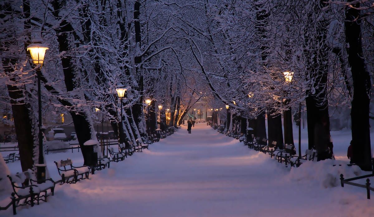 Planty Park in winter, tree-lined paths offering a tranquil escape in the city center.