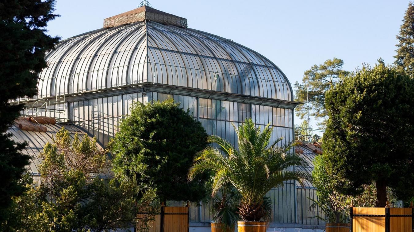 Geneva Botanical Garden, tranquil oasis showcasing global flora and scientific research.