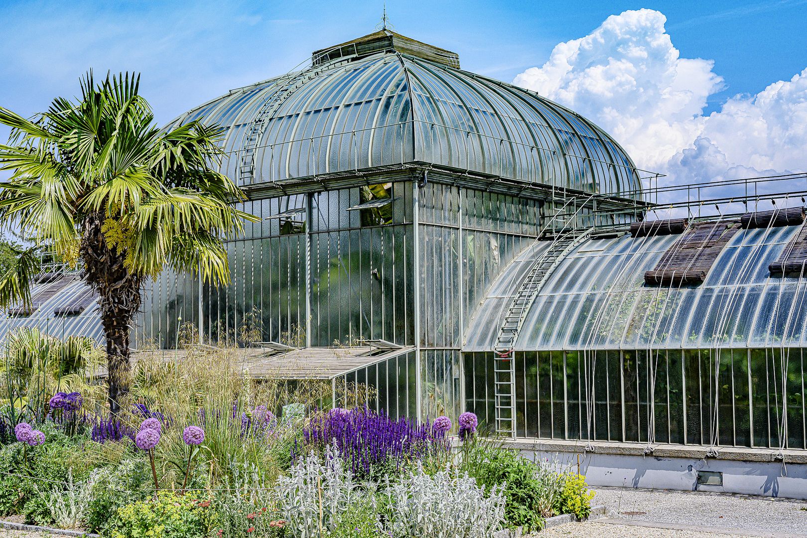 Geneva Botanical Garden, diverse plant collections in serene, beautifully landscaped grounds.