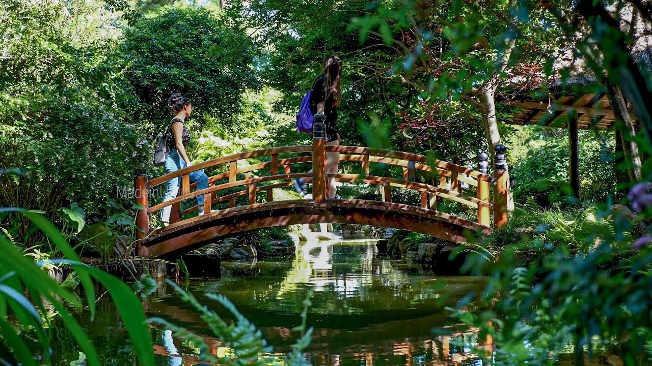 Beautiful view of Montevideo Japanese Garden Hei Sei En