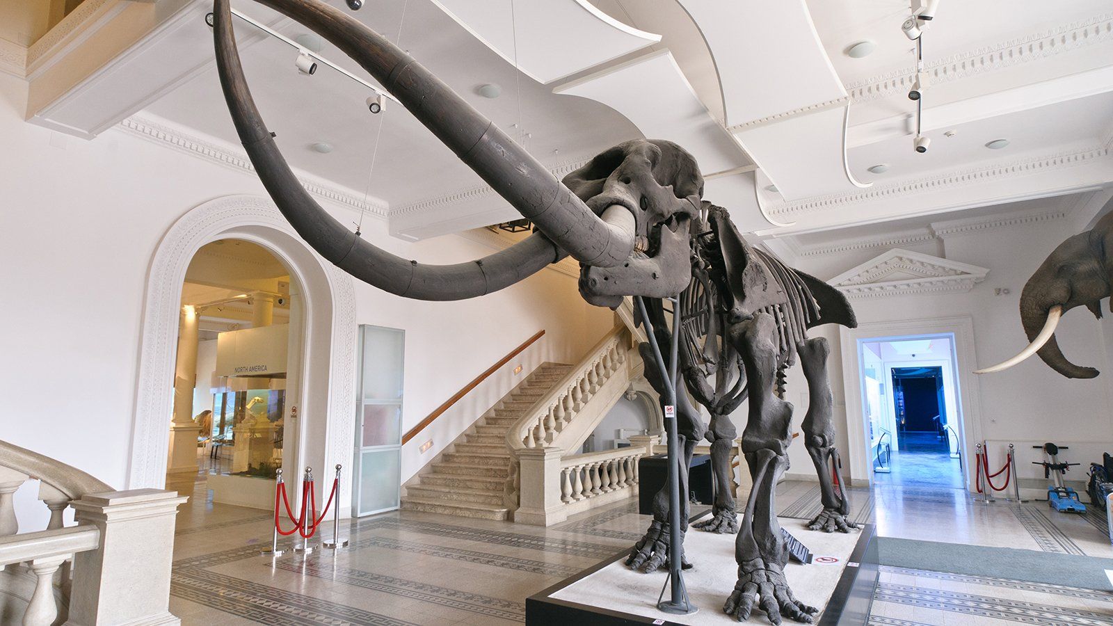 “Grigore Antipa” National Museum: interactive displays and impressive dinosaur fossils.