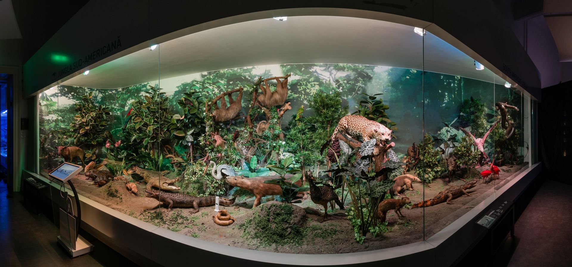 “Grigore Antipa” National Museum: extensive exhibits on biodiversity and evolution.