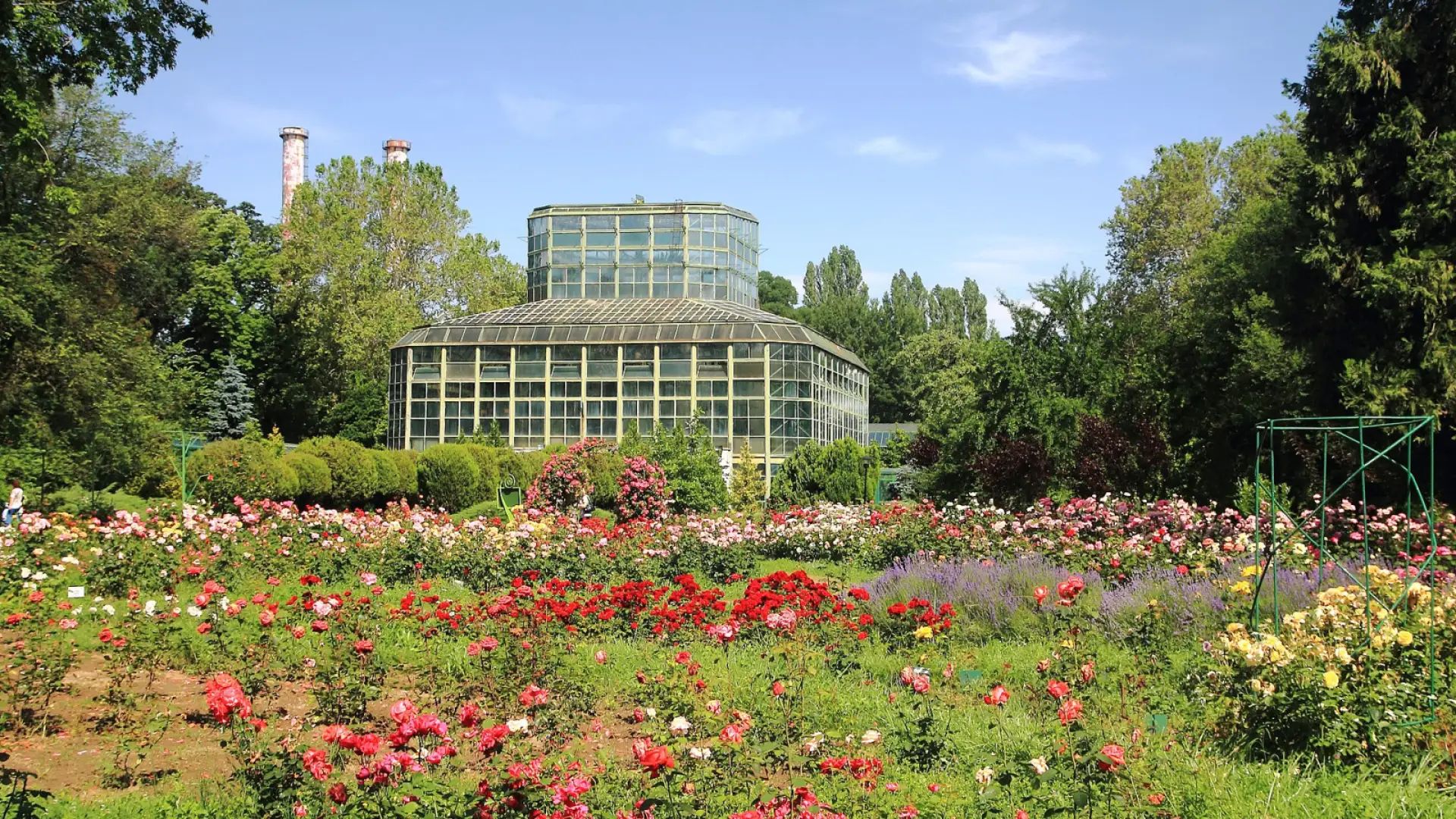 “Dimitrie Brândză” Botanical Garden: tropical greenhouses and beautiful seasonal displays.