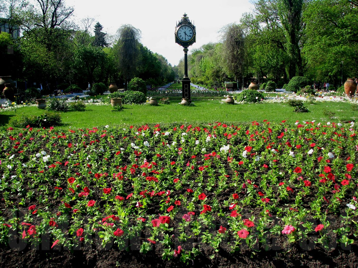 Cișmigiu Gardens: peaceful green retreat in the city center.