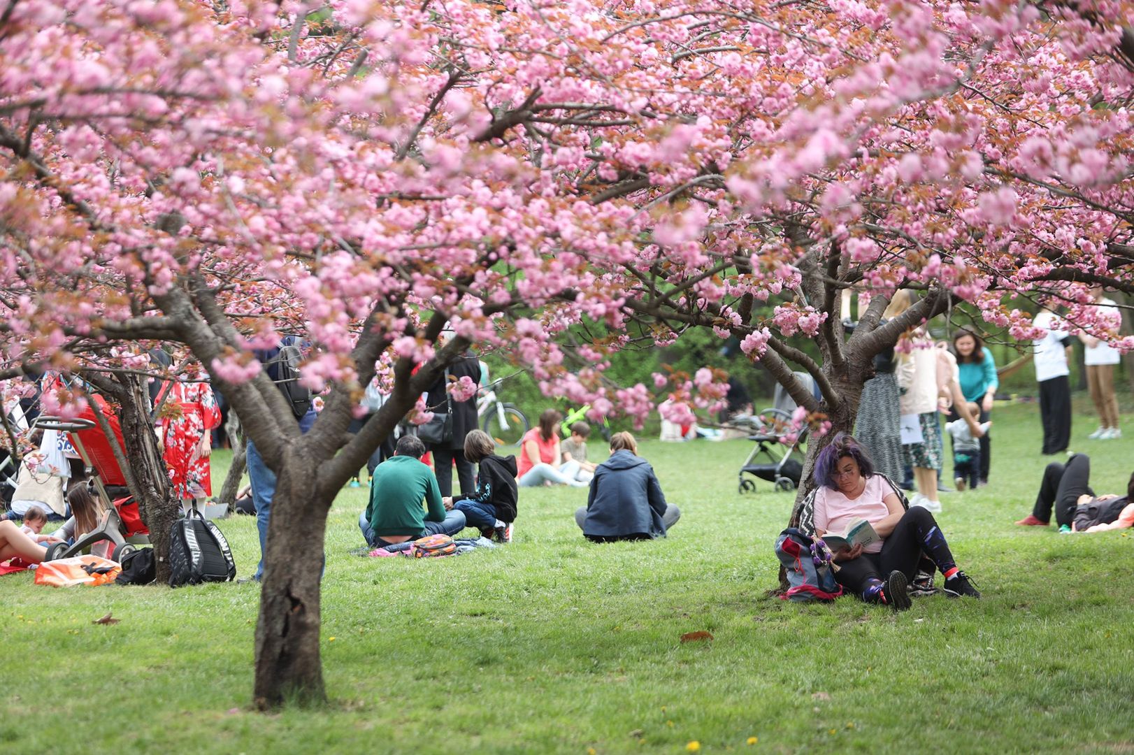 Herăstrău Park: popular recreational area featuring boating and outdoor activities.