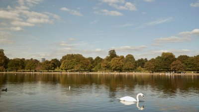 Hyde Park, a vast green oasis with calm lakes and walking paths.