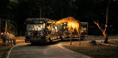 Chiang Mai Night Safari