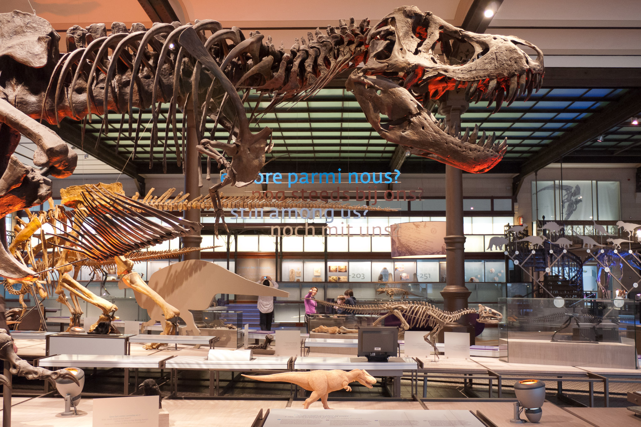 Royal Belgian Institute of Natural Sciences, a Brussels museum known for its impressive dinosaur exhibits and scientific collections.