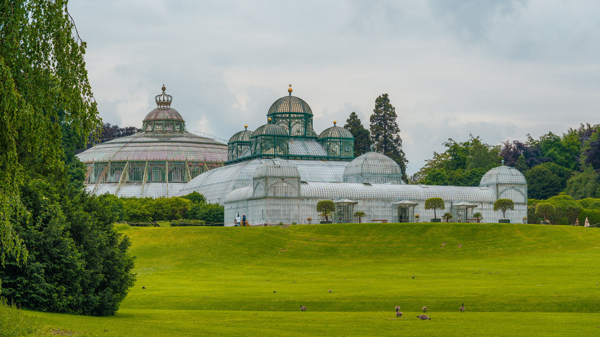 Royal Greenhouses of Laeken, Brussels, featuring stunning botanical collections in elegant glass structures.