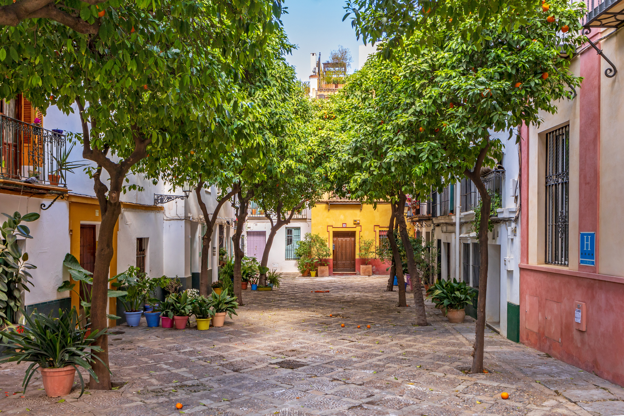 Santa Cruz district filled with orange trees, hidden plazas, and Andalusian charm.