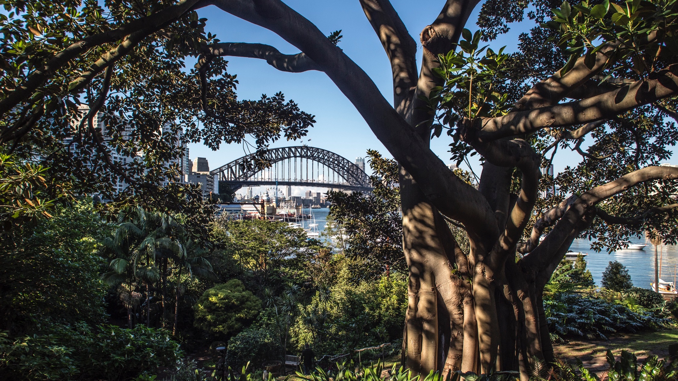 Beautiful view of Wendy Whiteley's Secret Garden